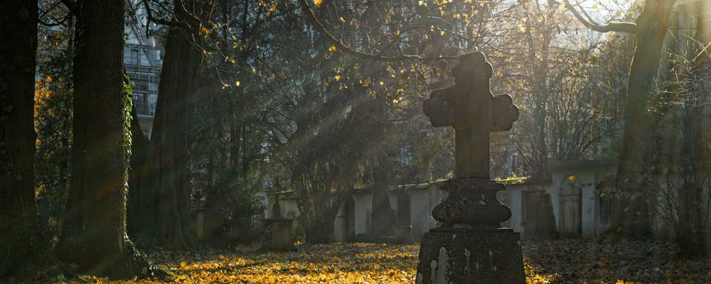 A selection of headstones in a cemetery.