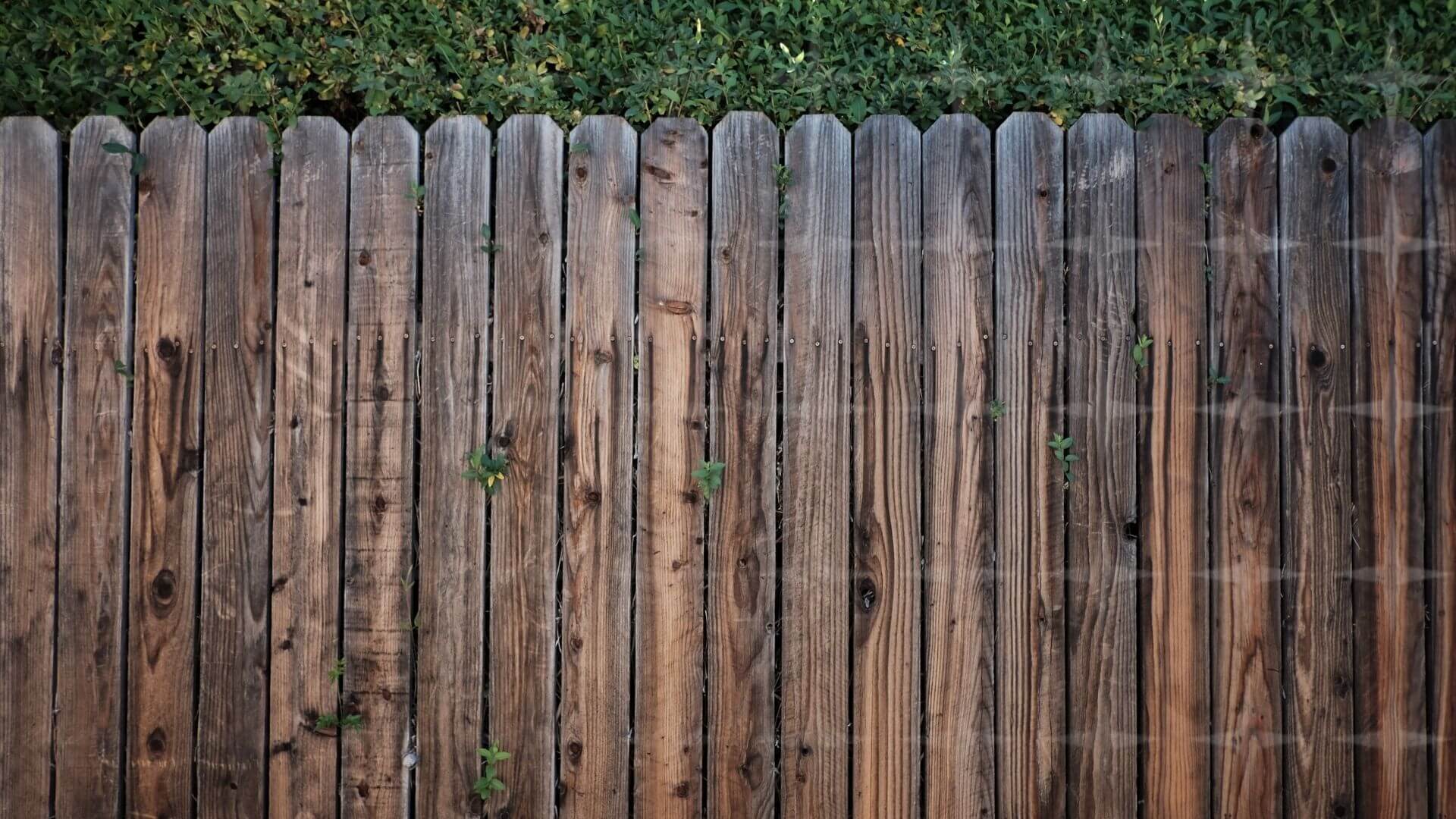 A wooden fence representing a boundary.